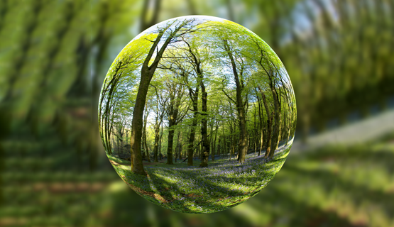 Green budgeting
